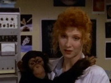 Monkey Dreams