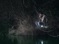 Swamp