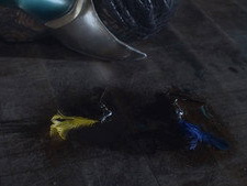 Feather