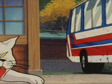 The Cat Wizard