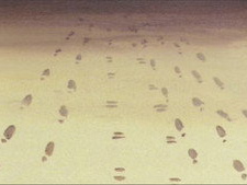 Episode 71