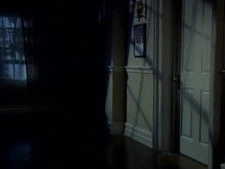 Werewolf Skin (2)