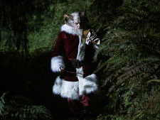 Twelve Days of Krampus