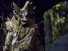Tree People