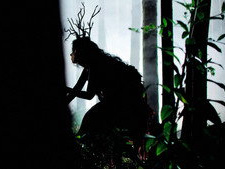 In the Shadows