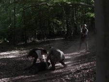 Mary Webster: The Witch of Hadley