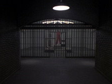 The Thin White Line