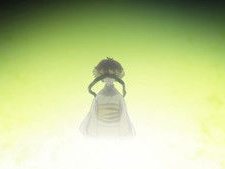 The Light of the Eyelid