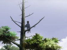 Lightning's End