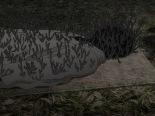 Mud Grass