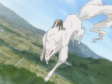 Humans and Youkai