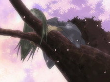The Man Amidst the Rows of Cherry Trees