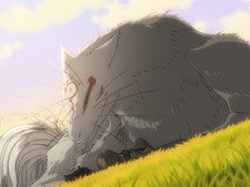 A Long Way Home