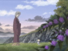 Following a Narrow Path