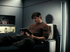 Greywing