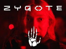 Zygote