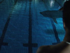 Pool Shark