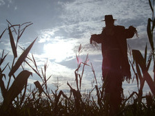 Scarecrow