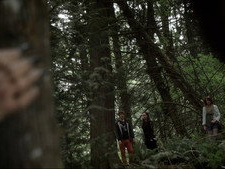 Lovecraft's Woods