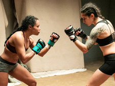 The Fight