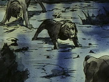 Hot Tears! Overcoming the Death of a Companion