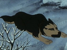 The Friendship of Gin, Who Risked His Life