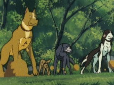 Demon Dogs! Kai's Three Brothers!