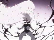 Tsubaki the Camellia Blossom - What Lies Beyond the Grief?