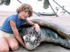 The Boy Who Talked with Animals