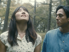 Into the Loveless Forest