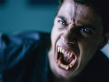 Undeclared (2)