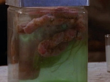 The Jar