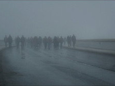 The Horde