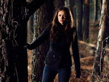 Let the Right One In