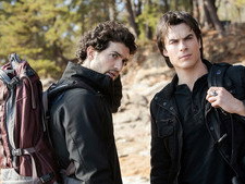 Into the Wild