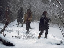 The Storm