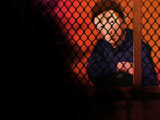 The Man in the Rabbit Hutch
