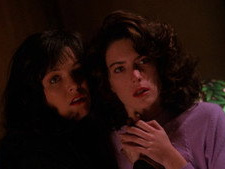 The Orchid's Curse