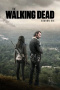 Season 6